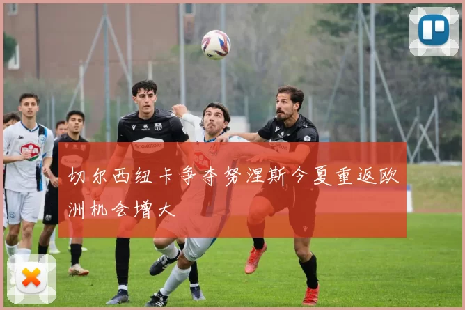 切尔西纽卡争夺努涅斯今夏重返欧洲机会增大
