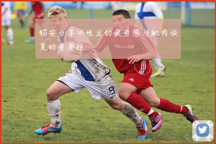 锡安分享训练后的疲劳感与肌肉恢复的重要性